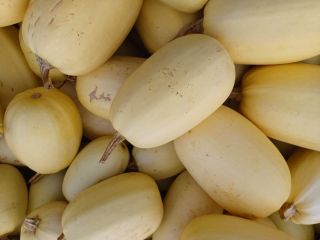 I will sell pumpkins without fertilizers and spraying. We
