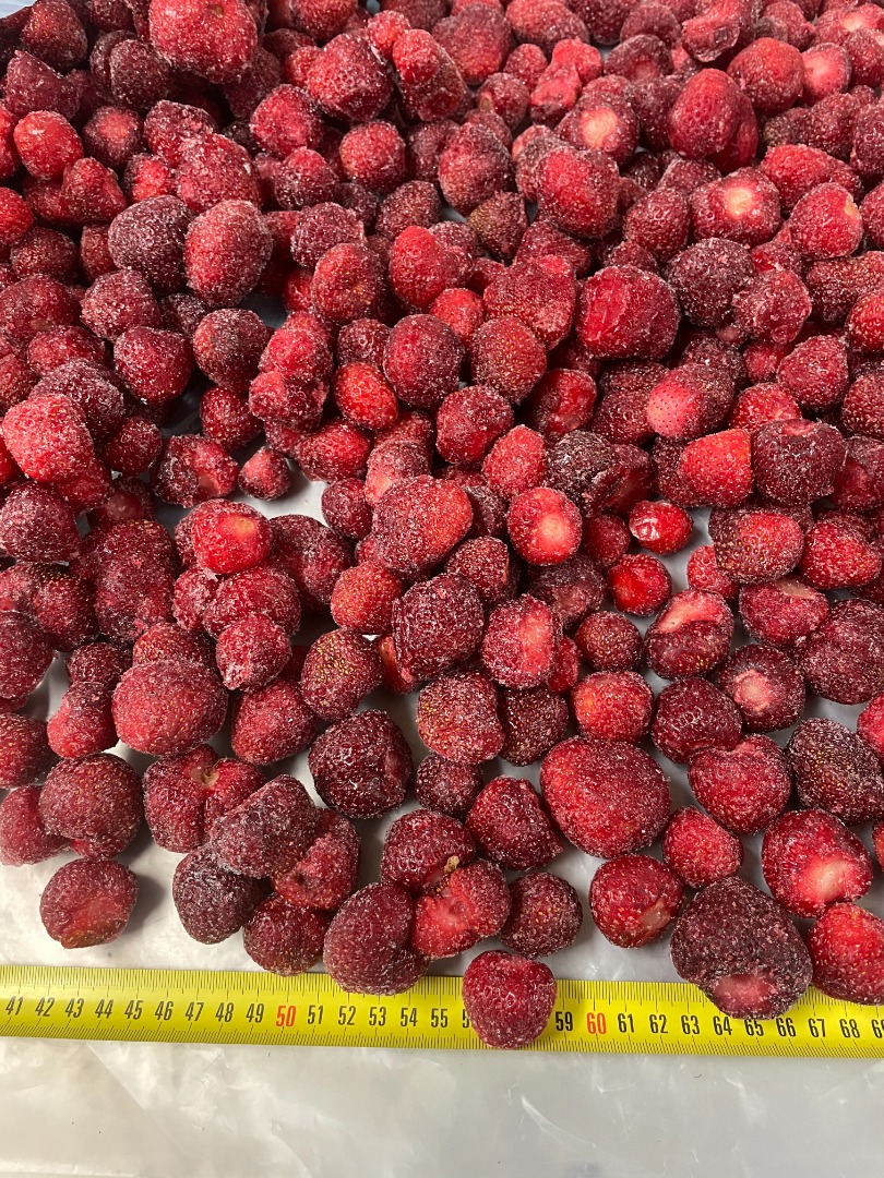 Ekologicznie produkowane, szokowo mrożone truskawki, w Berkovitsa, Bułgaria