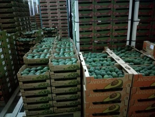 FOB Callao price
