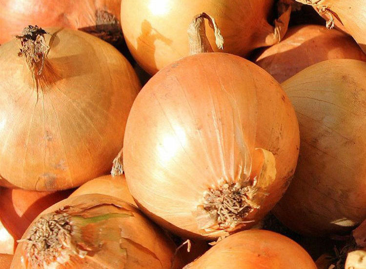 We are buying large quantities of fresh yellow onion for Romania