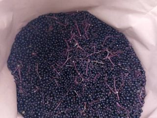 I will sell black without. Elderberry, frozen. Wild-harvested berries,