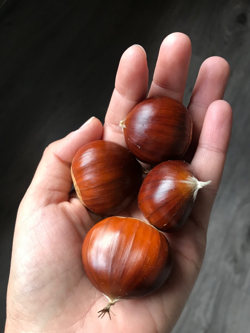 Rich Bierzo chestnuts, good quality and recently picked, exquisite to eat
