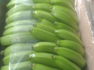 Bananas cavendish extra premium Ecuador own production 3,600 boxes
