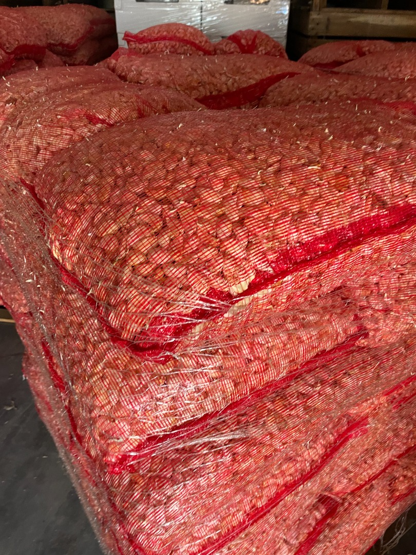 I will sell industrial garlic