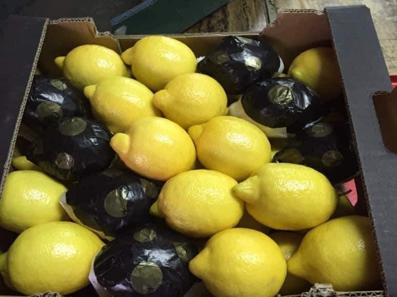 The company exports lemons and citrus fruits from Turkey