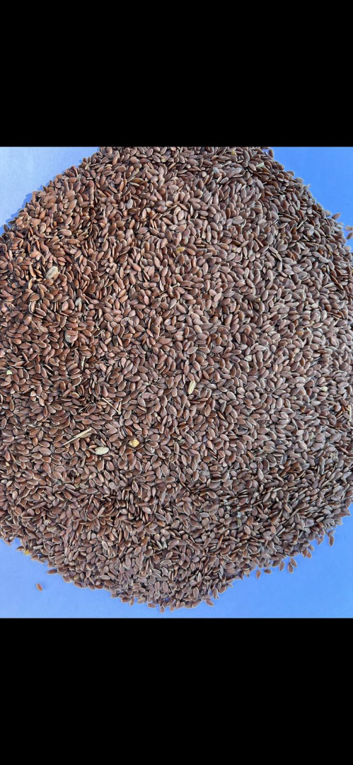 I will sell brown flaxseed