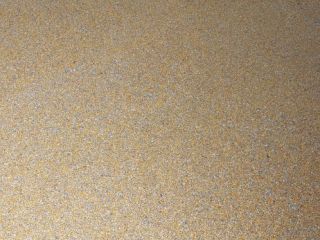 Dry corn