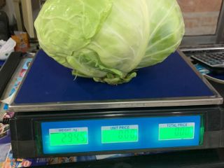 I sell 50-100t cabbage Brava F-1 type. Contact me