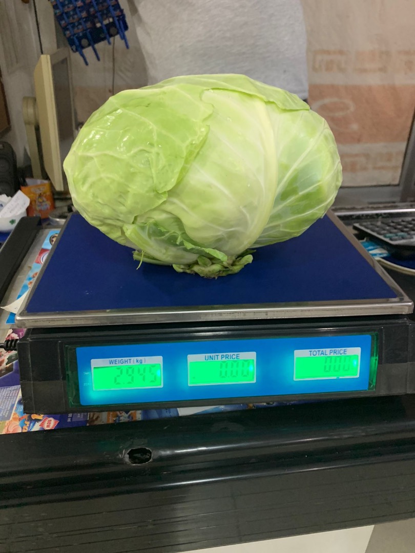 I sell 50-100t cabbage Brava F-1 type