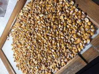 MAIZE directly from the terminal in the port Chernomorsk