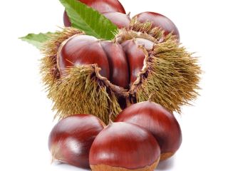I sell chestnuts from Ourense of very good quality