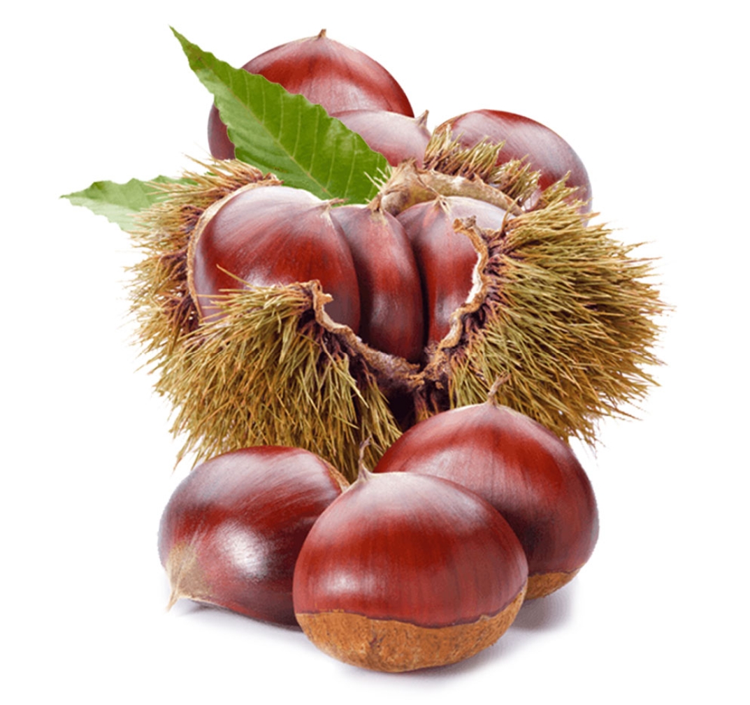 I sell chestnuts from Ourense of very good quality