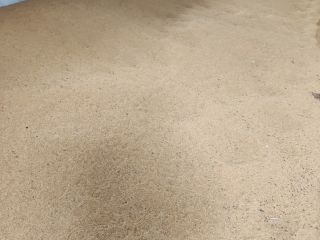 I will sell certified organic millet