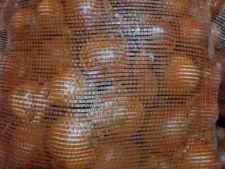 I will sell onion kal 4.5+, nice, truck quantities