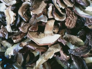 This year's dried mushrooms