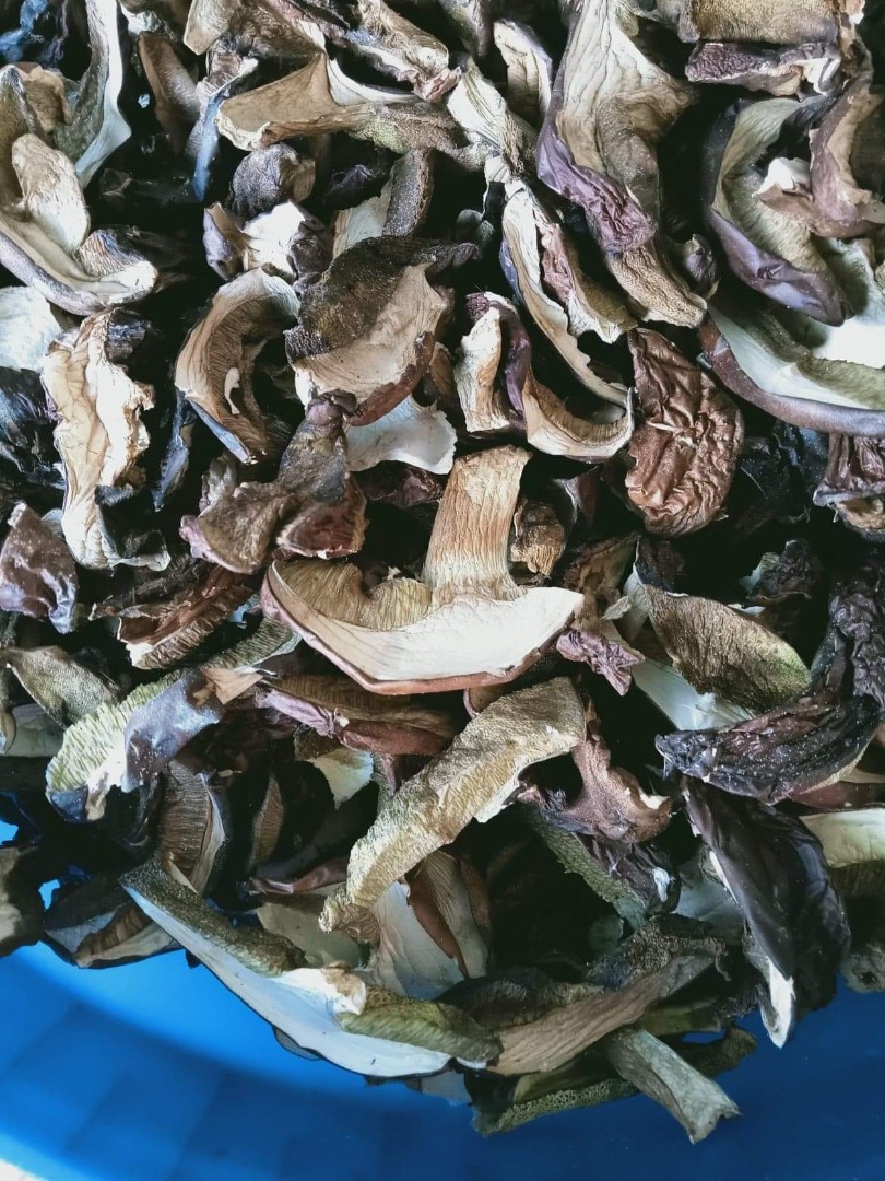 This year's dried mushrooms