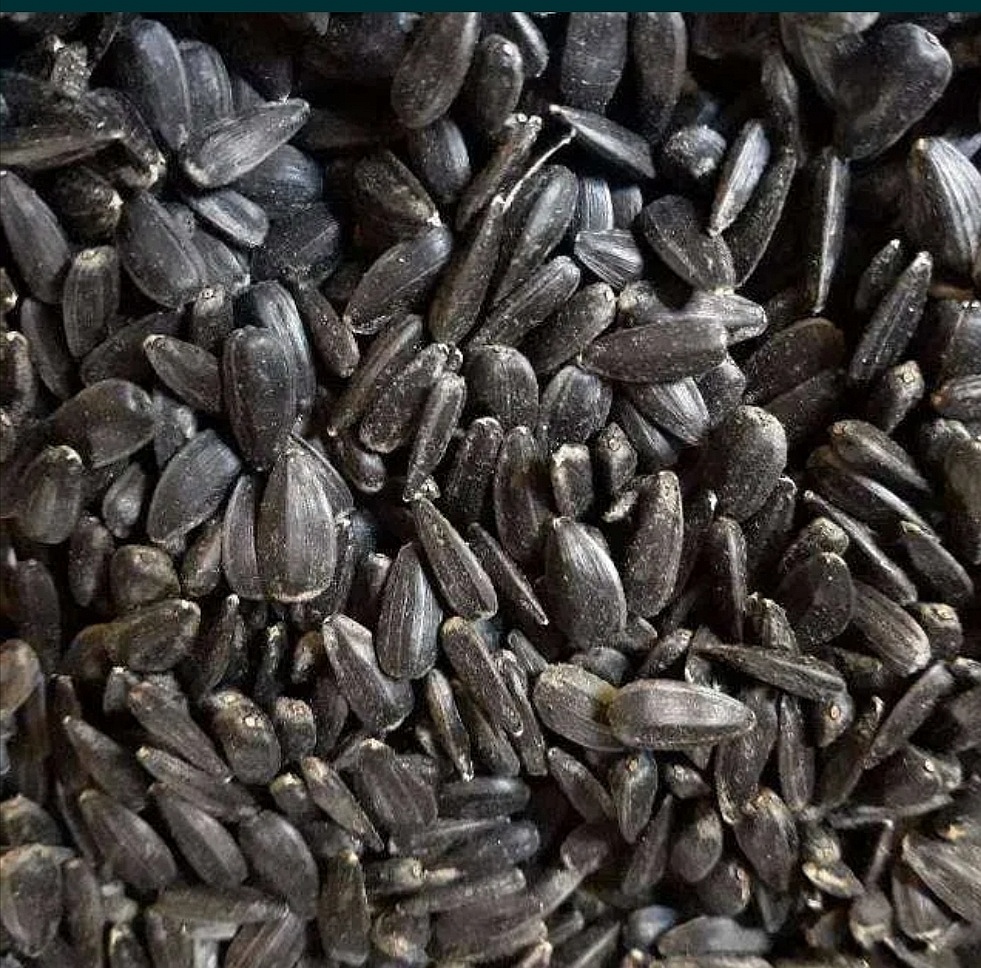 I will sell 300t high oleic sunflower HO