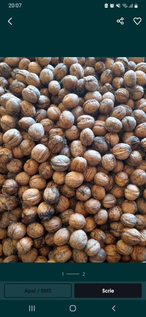 I sell walnuts ! If you want a higer quantity you have to come în my country