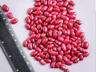 The trading company "Kirgy_beans" is successfully engaged in the