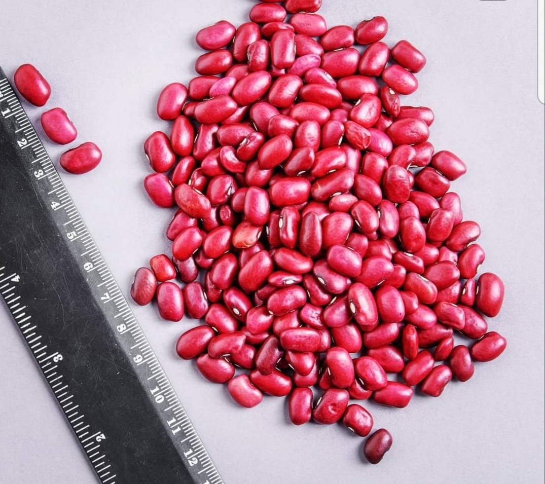 Hello, our beans are from Kyrgyzstan