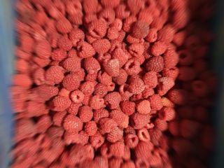 Raspberry in quality 90/10 80/20 We offer Willamette, Meeker