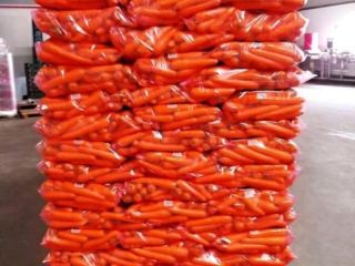 High quality carrots, delivery to all over the world