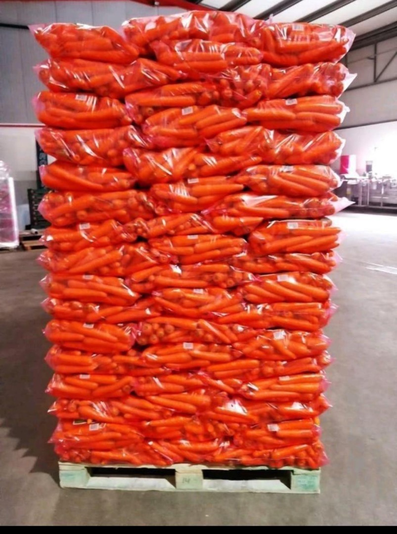 High quality carrots, delivery to all over the world