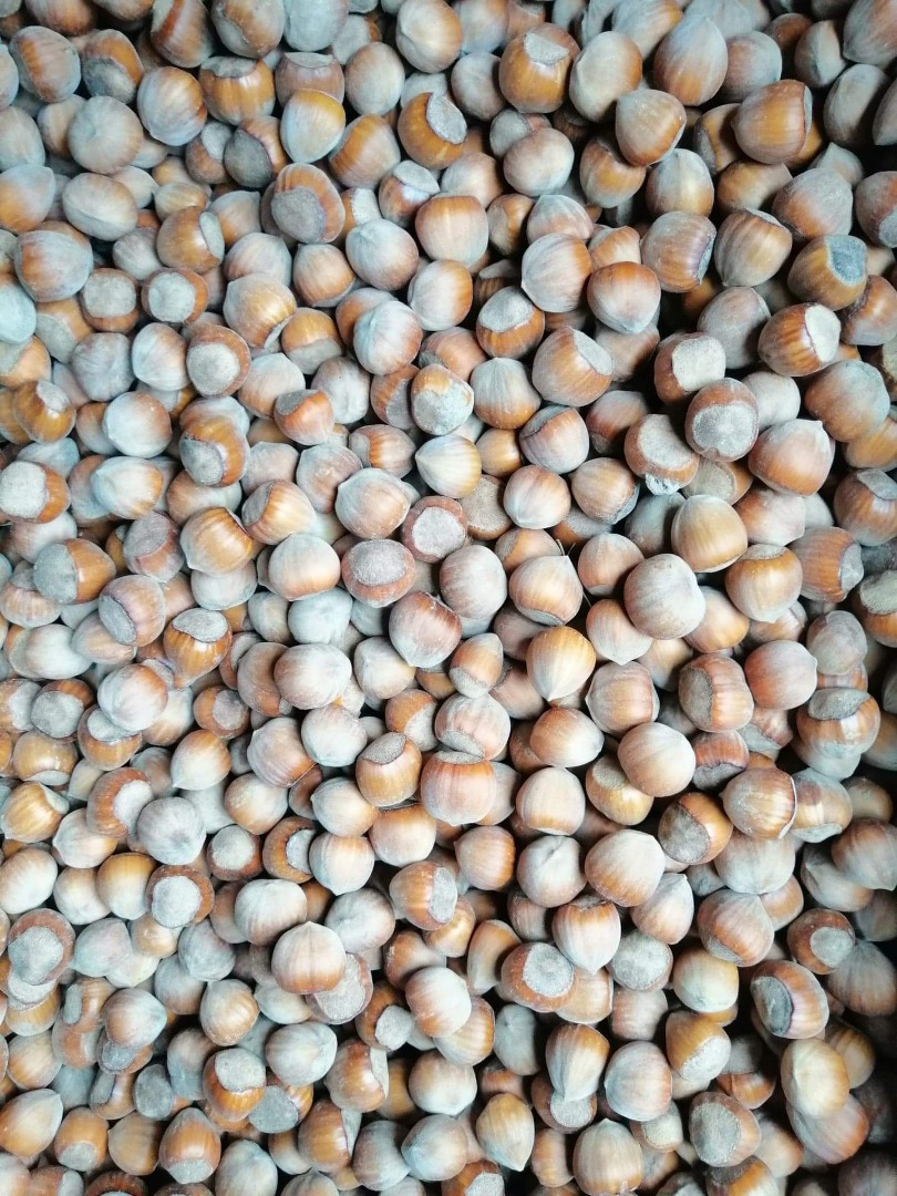 I will sell wholesale amounts of hazelnut