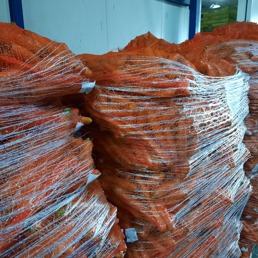 Fresh Carrots