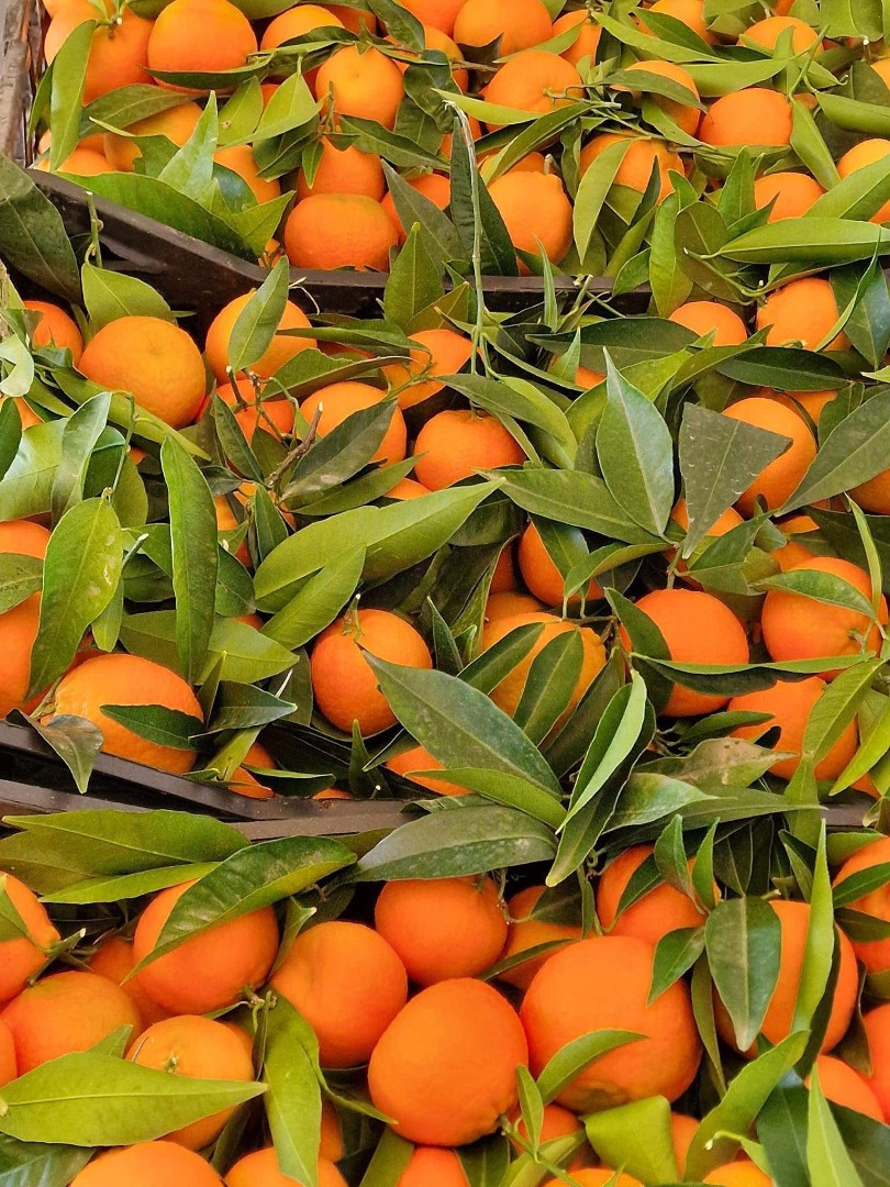 Tangerines, clementines, new oranges..