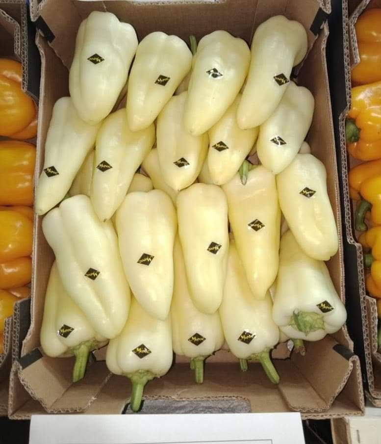 White pepper, country Morocco