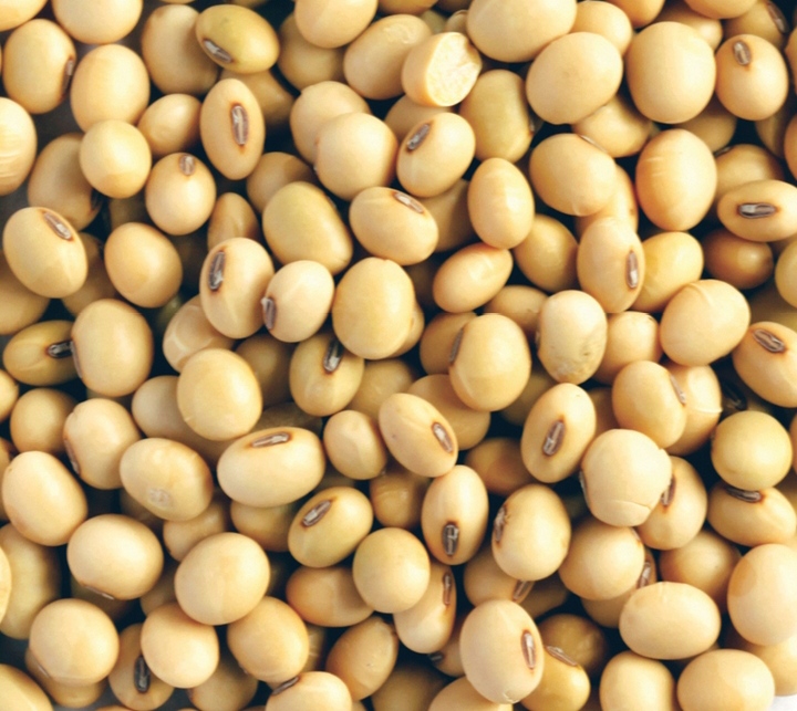 We are direct producers and exoporters of soybeans Non GMO grade Benin Republic origin,we can supply any quantity you need and our seeds are current yeah