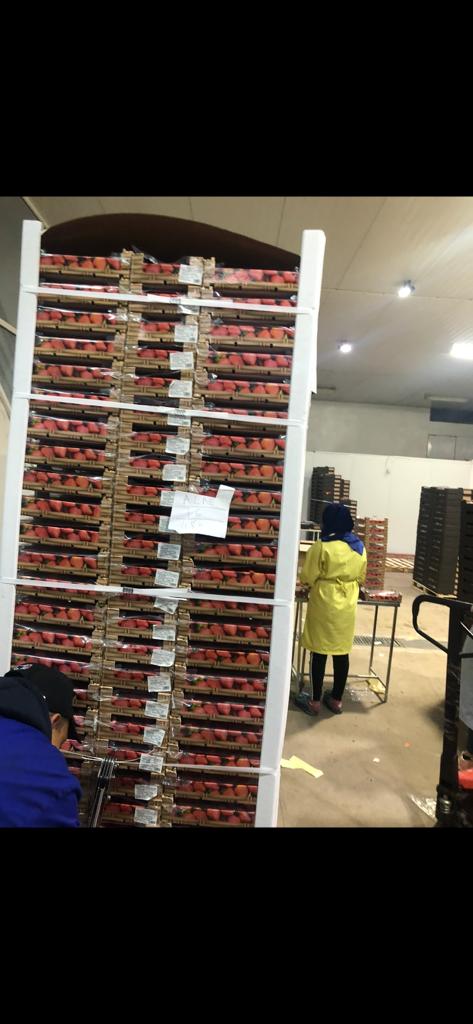 High quality natural strawberries, shipped to all over the world and customized packaging Number