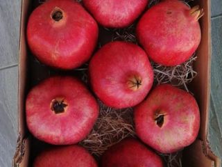 I will deliver fresh organic pomegranates directly from the