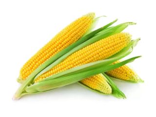 I will sell large quantities of dry corn For