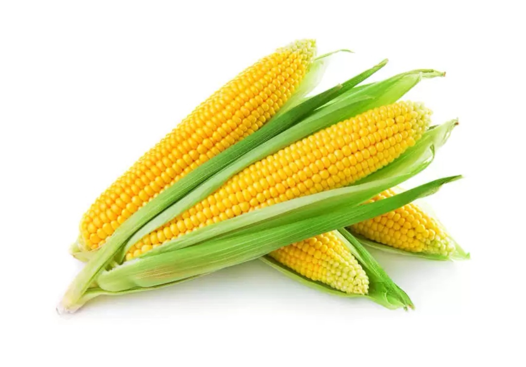 I will sell large quantities of dry corn For more information, please contact me