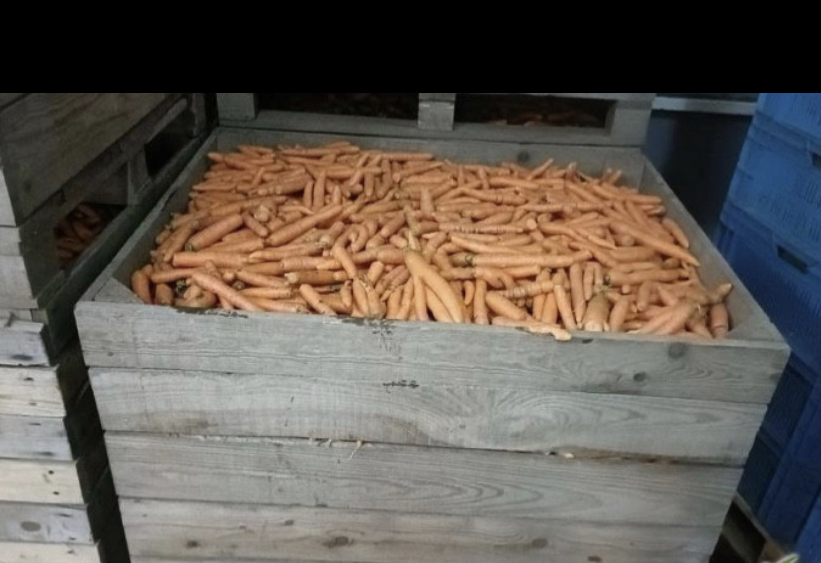 I will sell waste carrots