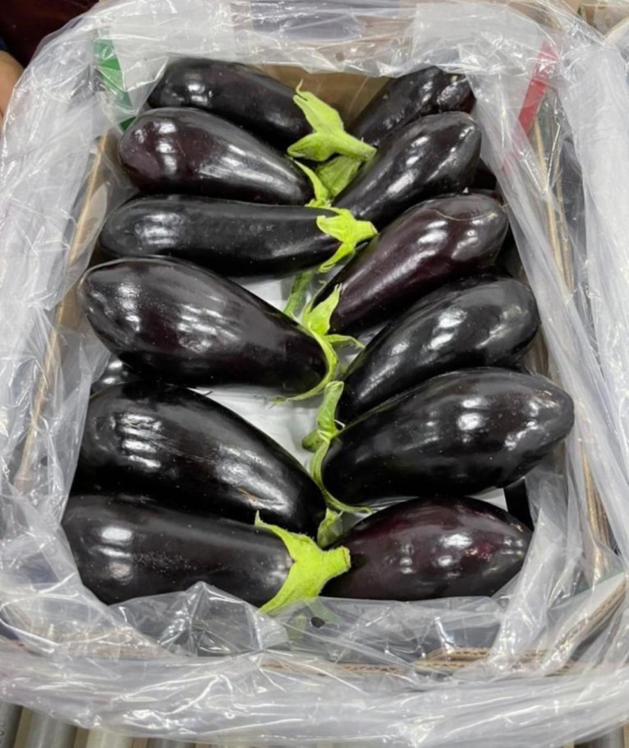 High quality eggplant, with the possibility of shipping to all countries of the world Number Mr.Ibrahim Hsaine