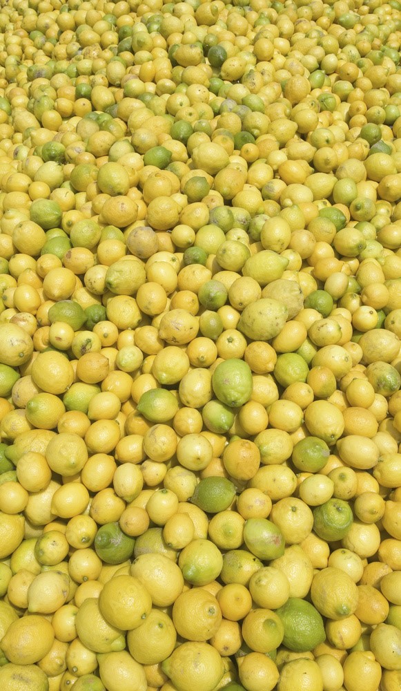 We will buy lemon, orange, tangerine, lime, red grapefruit, II - III class for juices