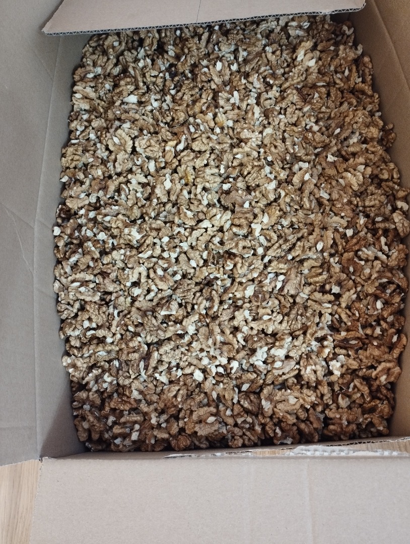 I will sell shelled walnuts