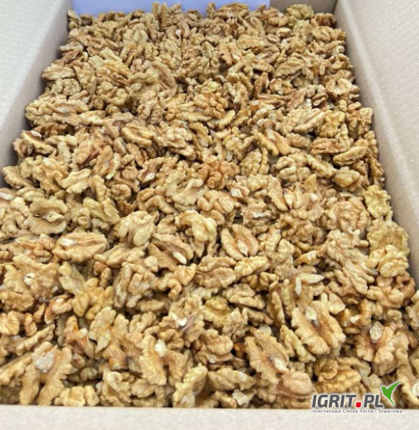 I will sell 1000-2000 kg of shelled walnuts
