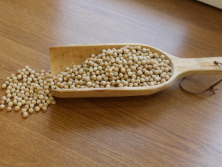 Certified organic edible peas. From the 2022 harvest. From
