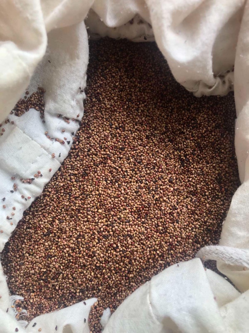I will sell strawberry seeds, perfect for Cosmetic Oil, Edible Oil or for Peeling