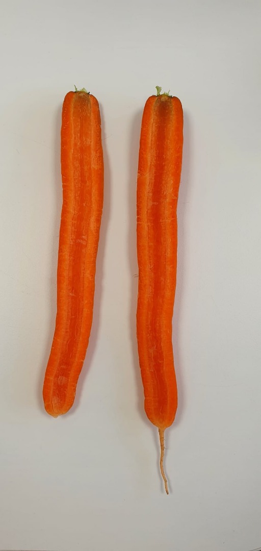 We are offering two types of carrots for sale today, 14.11.2022