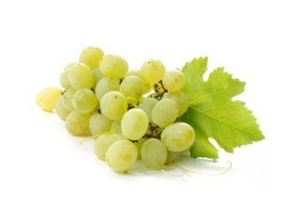 Fresh & delicious grapes (green)