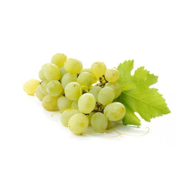 Fresh & delicious grapes (green)
