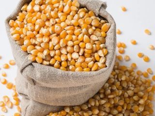 I can deliver large quantities of corn, wheat and