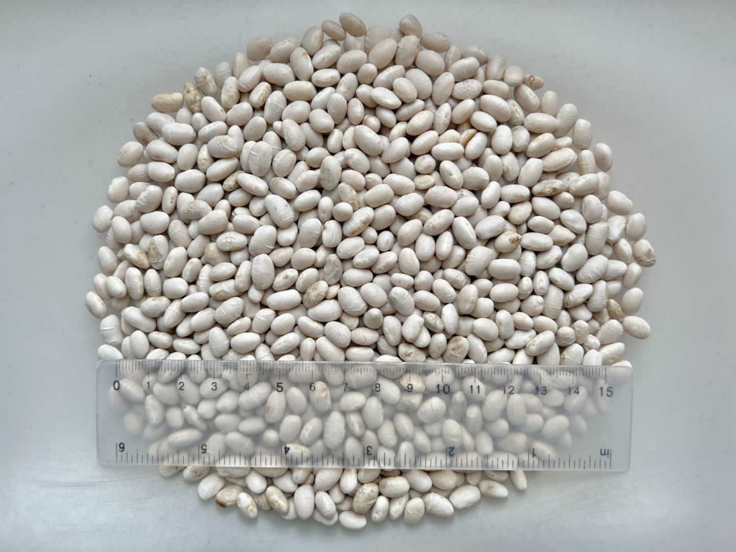 Size: 450 pcs./100 g Humidity: 16,2% Purity: 99,9% Split: 0,2% Broken: 0,2% Discoloured: 0,6% Earth sticked: 1,2% Light cracked coat: 1,8% Heavy cracked coat:
