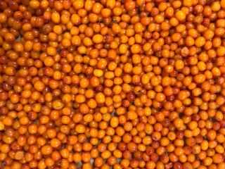 We offer IQF Frozen Seabuckthorn. Cultivted berries - Conventional