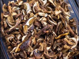 I will sell mixed forest mushrooms.. mostly boletes, dried.